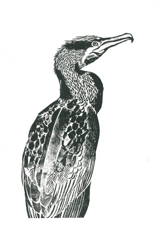 'Cormorant'