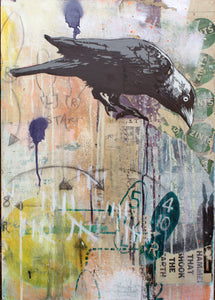 'Jackdaw'