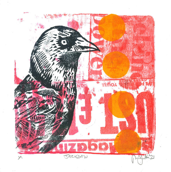 'Jackdaw'
