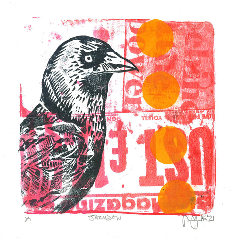 'Jackdaw'