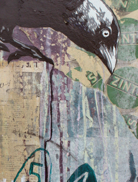 'Jackdaw'