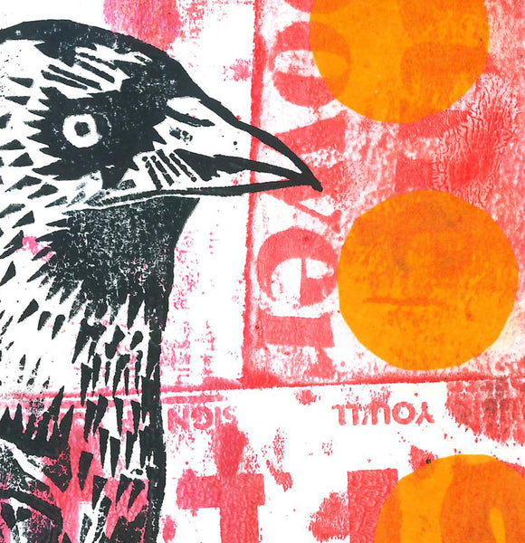 'Jackdaw'